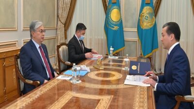 Глава государства принял министра экологии, геологии и природных ресурсов Сериккали Брекешева